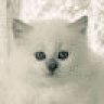 Sherelan